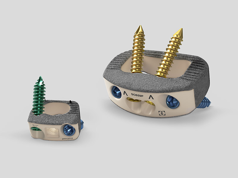 Plasmapore XP-coatede intervertebrale fusionsimplantater.